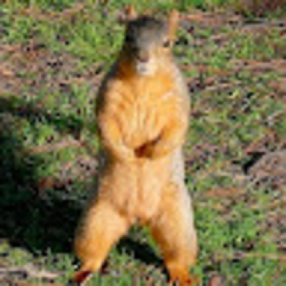 Meet your Posher, Daniel